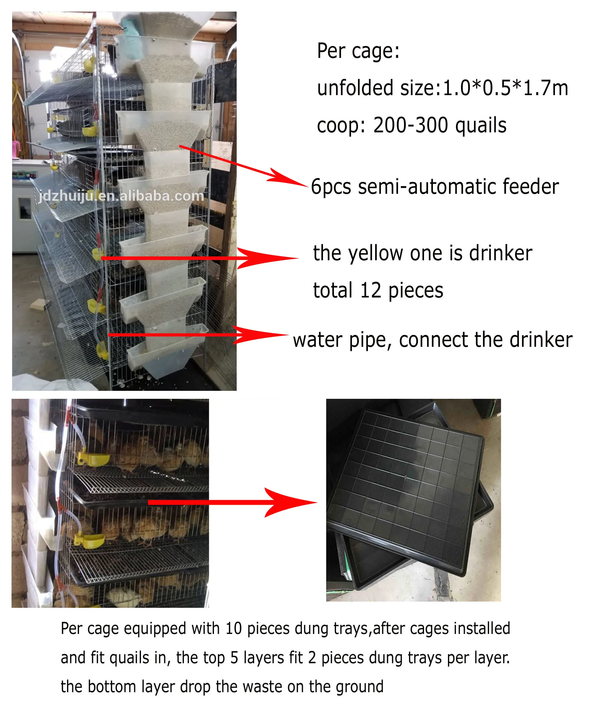 quail cage details