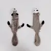 Raccoon