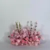 Mughetto rosa e copertura del terreno della begonia