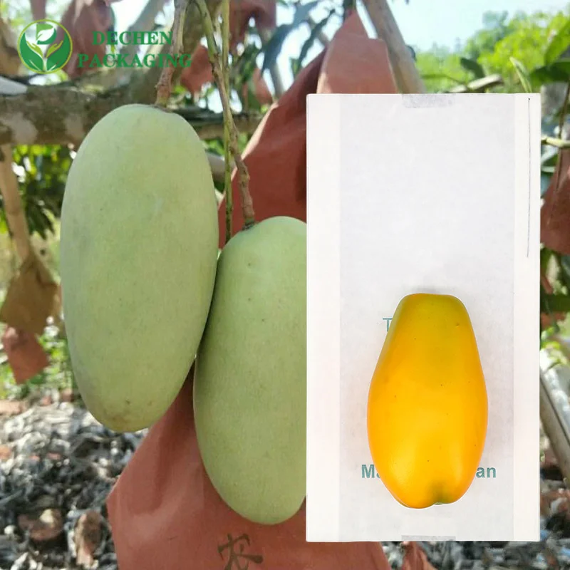 Sacs doublés de cire Sac en papier de couverture de mangue coupe-vent pour fruits résistant à l'eau