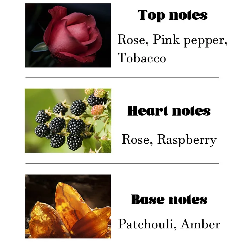 Rose High Note High Quality Rose Perfume Floral Notes Charming Rose Scent Exudes Charm ...