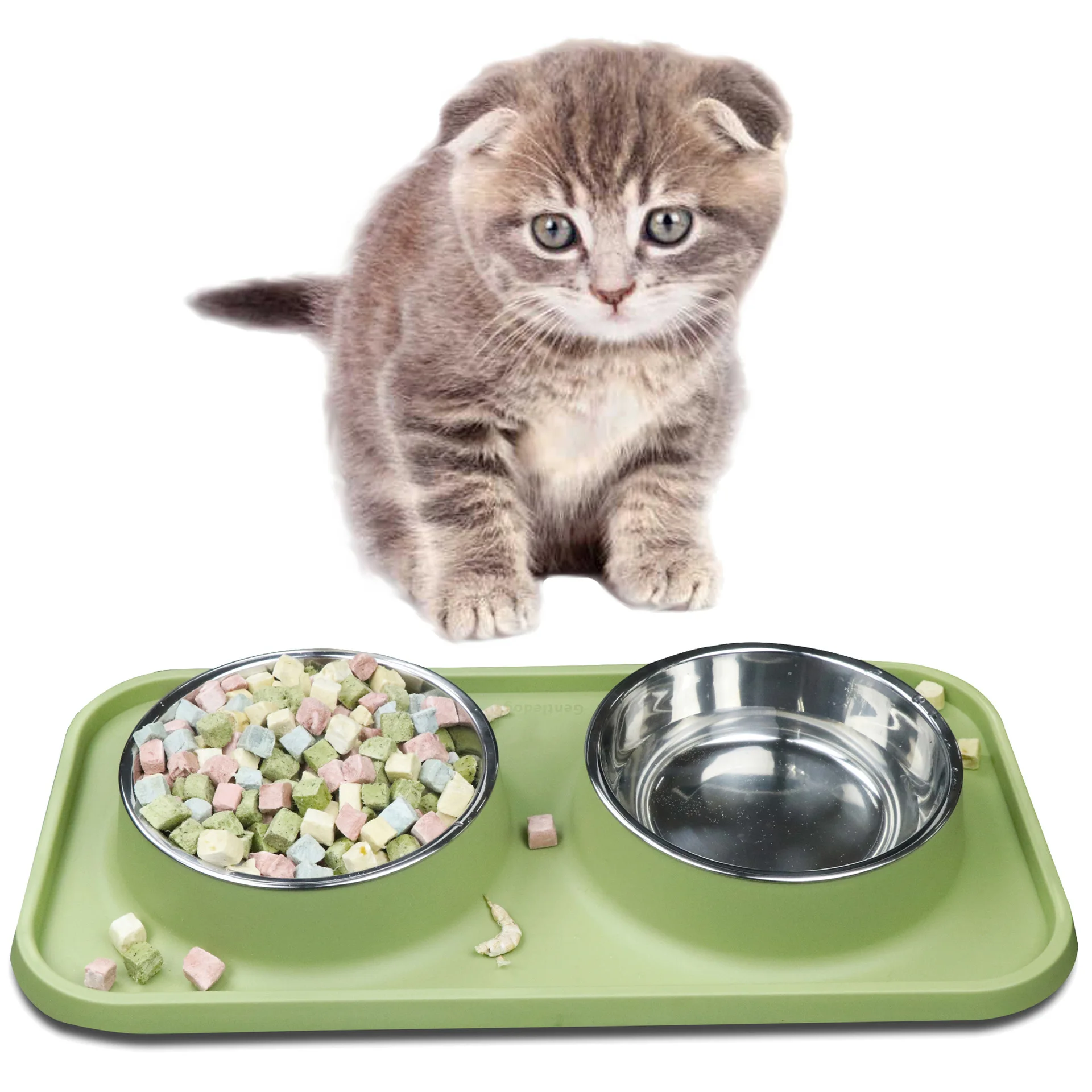 Anti Slip Stainless Steel Cat Double Bowl,Pet Water Feeding Bowl With Nonslip Mat For Cats,Dogs