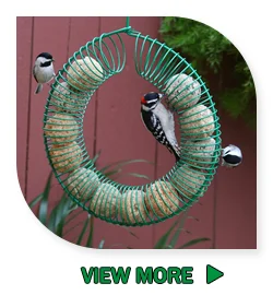 Bird Feeder