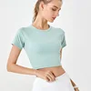 Aqua green
