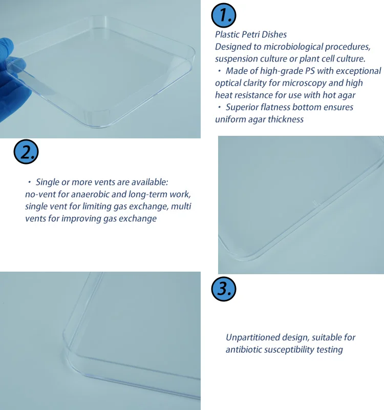 square petri dish