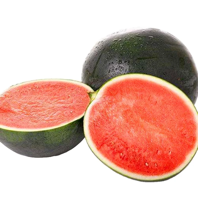 black skin red flesh seedless watermelon seeds for open field