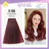 5/66 li zi hong (leading show)