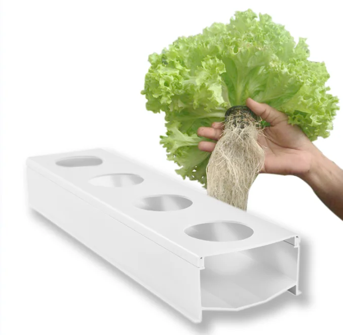 hydroponic nft