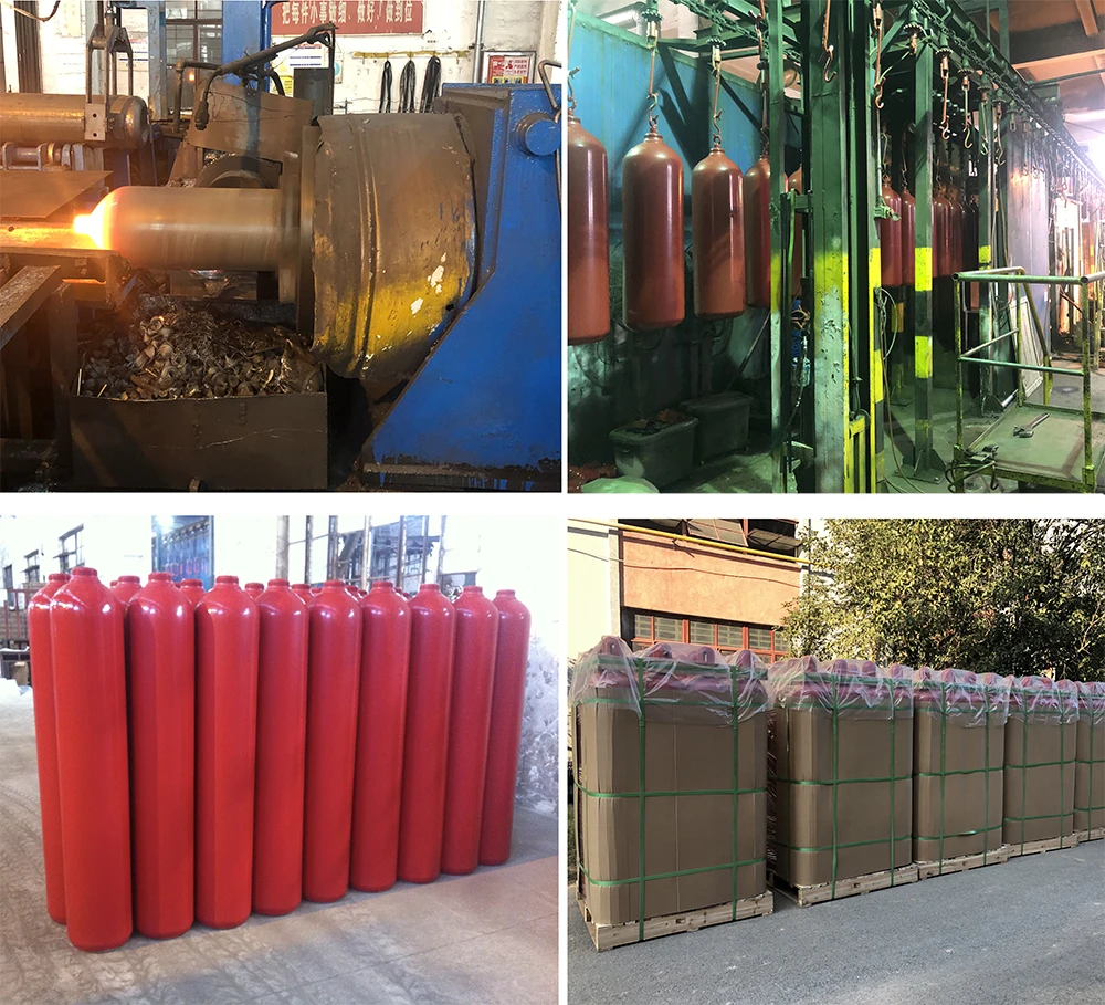 High Pressure Co2 Total Flooding Fire Suppression System