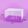 Série 5 élégante et colorée (cage uniquement)