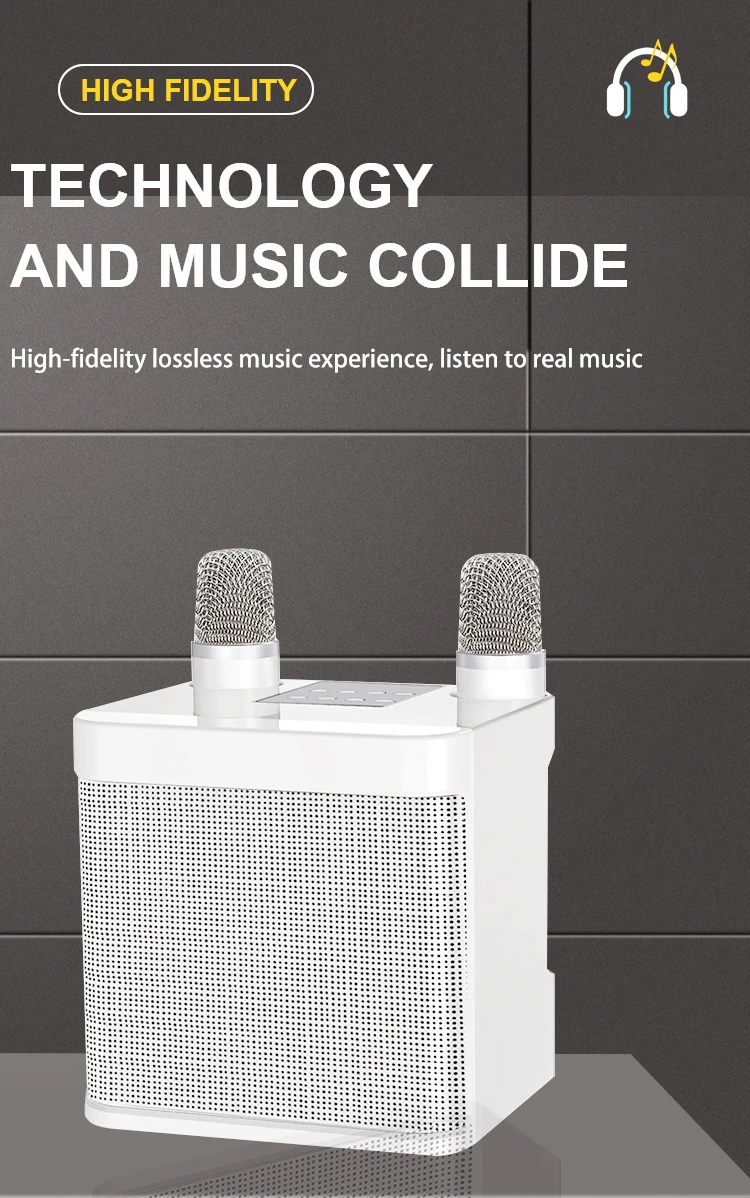 WJ-A826 Bluetooth Speaker with Dual Microphone for Karaoke