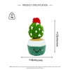 Plante succulente en pot
