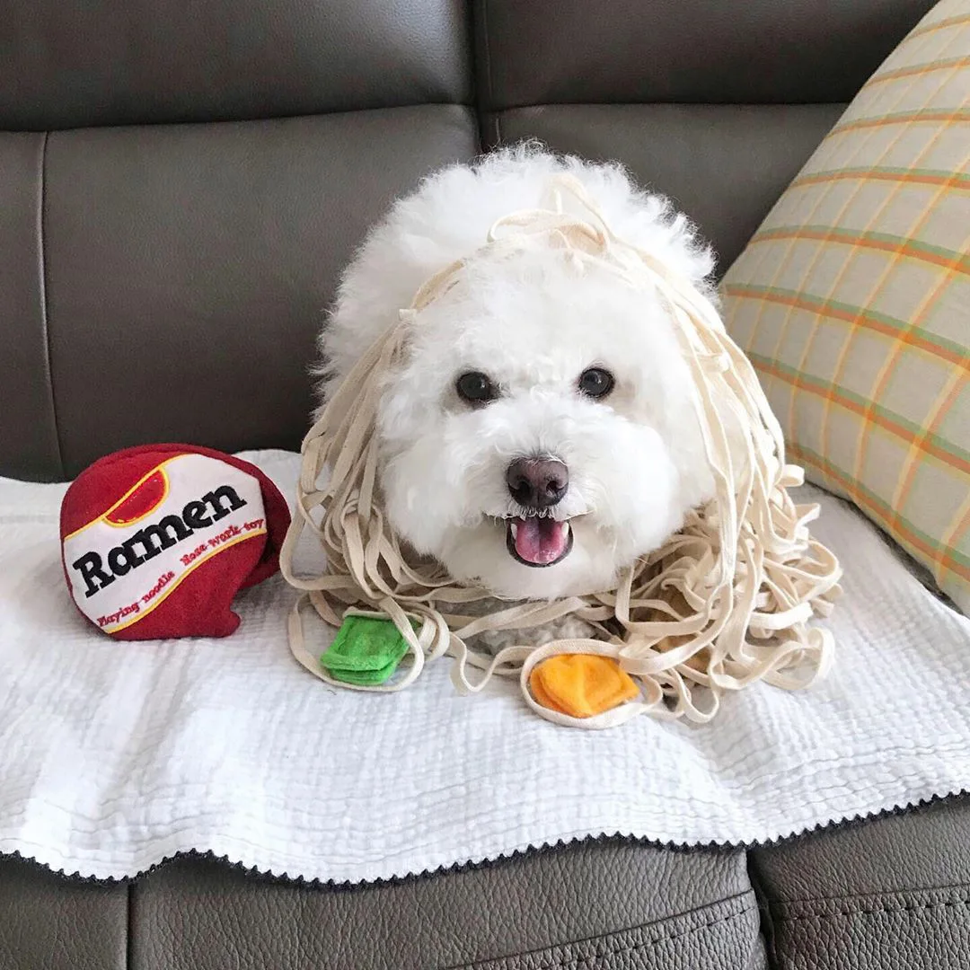 Hot Selling Manufacturer Pet Interactive Toys Ramen Noodle Work