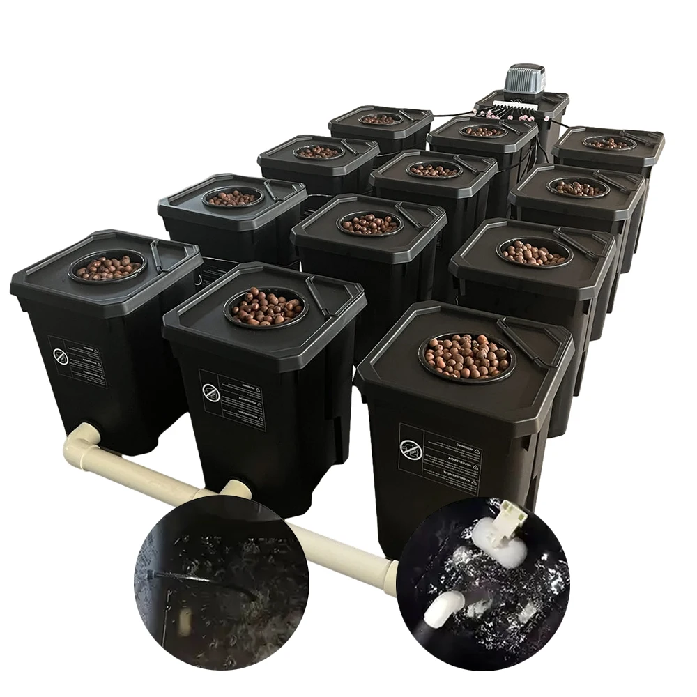 RDWC 12 Buckets Recirculating Hydroponics System Custom Made Acceptable