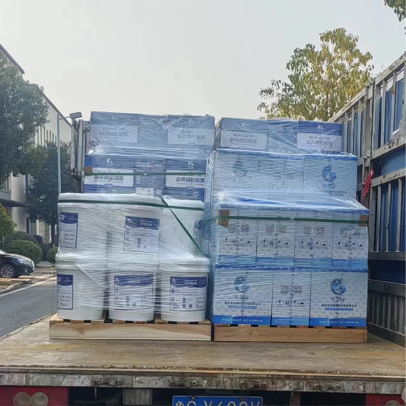 BioPower700 Detoxifying Probiotics Gray White Solid Powder Form Quickly Suppress Toxic Chemicals Activated Sludge Systems