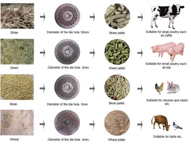 Tolcat  High Efficiency Granules Making Machine  Pellet Maker  Pellet Machine for Chicken Food