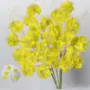 Yellowish 5-head gongxia branch