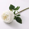 สีขาว