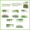 D Baihui Inghilterra-verde
