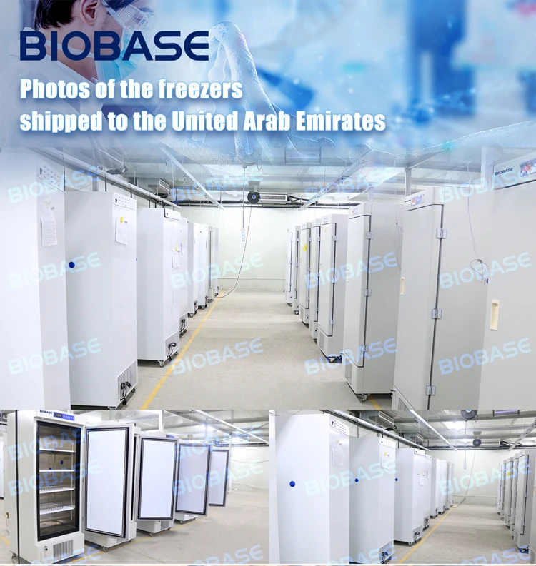 Biobase Manufacturer Cost-effective Constant-temperature Incubator With ...