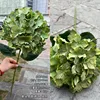 Une seule tête rose hortensia vert
