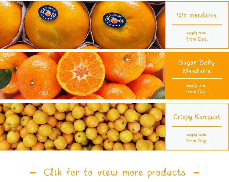 Mandarina Mandarin Orange Fresh Fruit Mandarins From Argentina, 1 kg / 2.2  lb bag