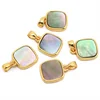 rainbow shell