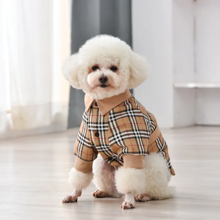 Fashion Designer Dog Branded Dog Clothes Brand Dog Jacket Luxury