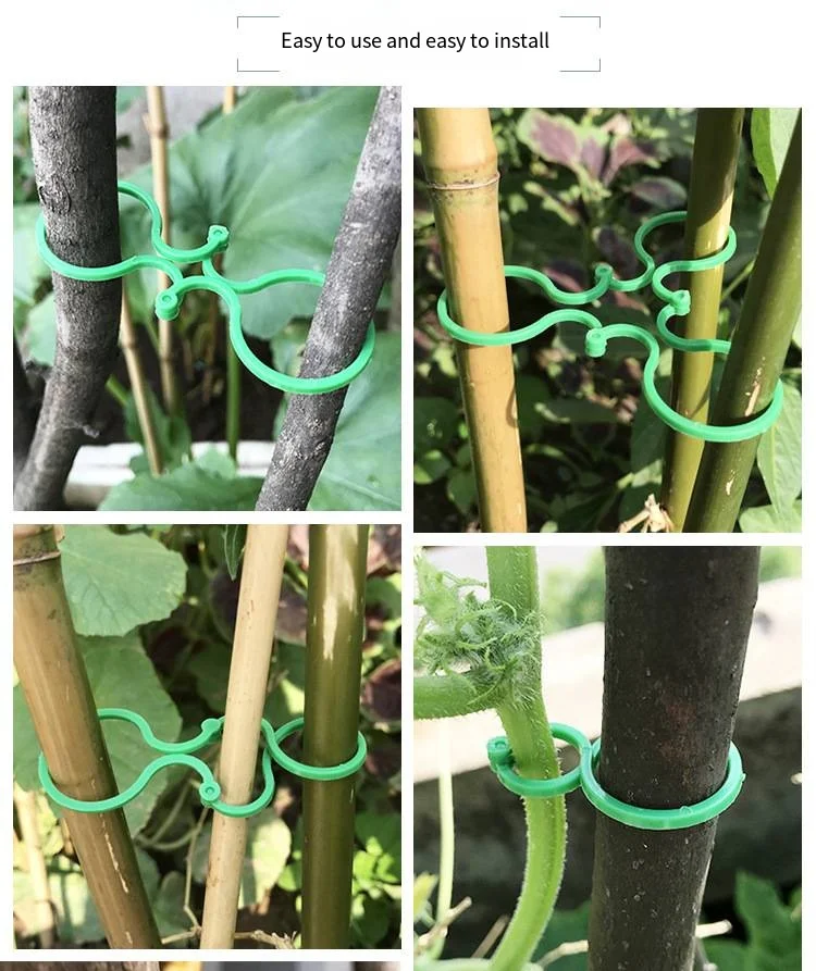 Gardening 8-figure buckle climbing vine tomato cucumber bundle 8-figure buckle plant fixed buckle gourd ring garden tools details