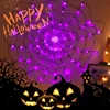 1.2m Purple Spider Web(Without Spider)