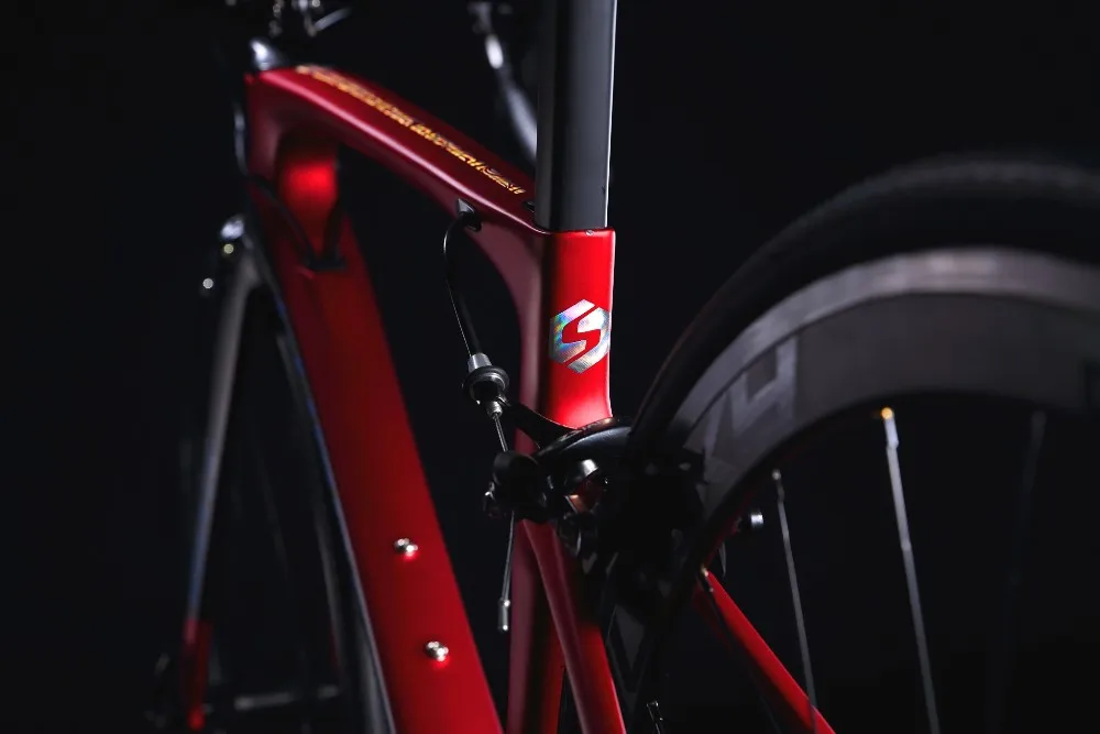 サンピードフレーム Sunpeed Galaxy Aluminum Frame 22 speed Route Bike Auspees