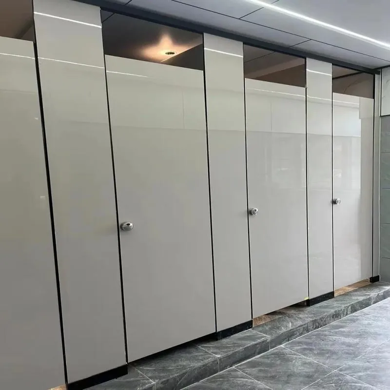 Moistureproof 12mm HPL Sheet Toilet Cubicle Partition Integral Building Partition Wall Shower Cubicle for Gym