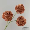 3-headed hydrangea