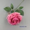 Rose à bords bouclés - rose double