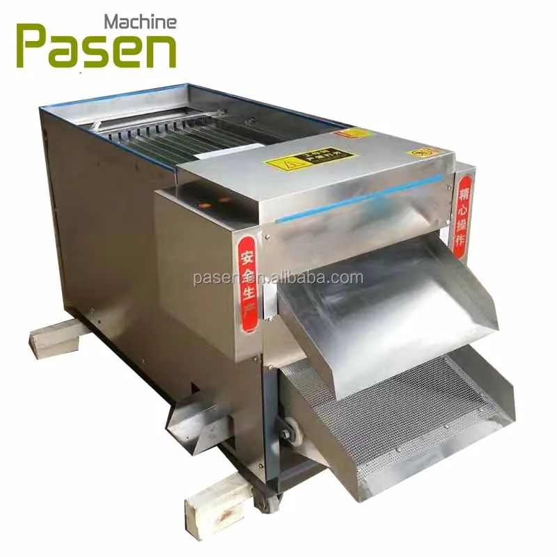 Electric Red Chilli Stem Cutting and Removing Machine Bell Pepper Cutter Machine Hot Pepper Slicer