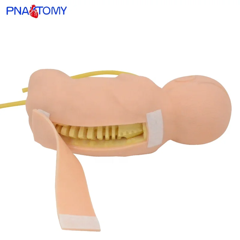 Bebe Ponction Lombaire Pratique Modele Pnt Tb06 Buy Modele De Formation En Soins Infirmiers Modele Medical Manikine Infirmiere Product On Alibaba Com
