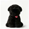 Black small lapdog