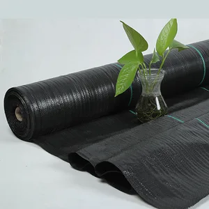Custom-Size PP Woven Membrane PE Ground Cover Mesh Weed Mat Roll Anti-Grass Control Cloth for Garden Supplies Mulch Film