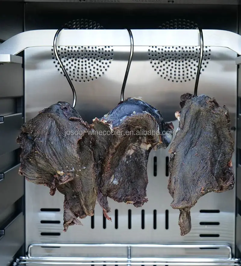 Compressor Meat Drying Steak in Fridge Dry Aging Beef Steak in Refrigerator Dry Age Meat Fridge for Home