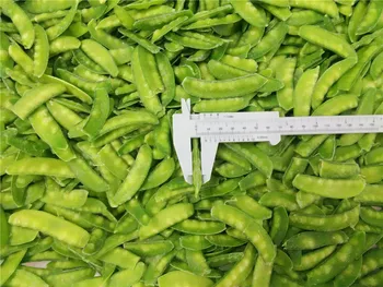 China Frozen Pea Pods - IQF Frozen Vegetables for Dishes, OEM/ODM