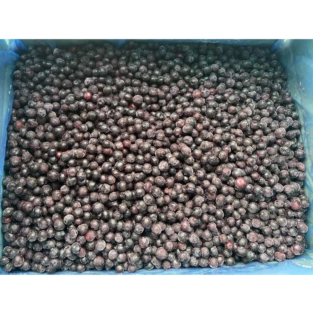 2025 중국 공급업체 대량 냉동 블루베리 IQF 블루베리 경쟁력 있는 가격 IQF 신선하게 냉동된 과일