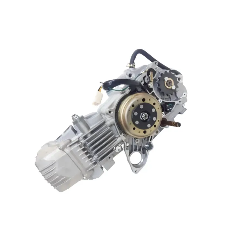 タマ Powermotormotorcycle Zs190 Left Crankcase Cover for Zongshen