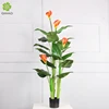 Plante en pot de lys Calla de 140 cm