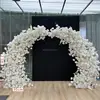 Rose blanche 2