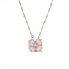 Rose 003