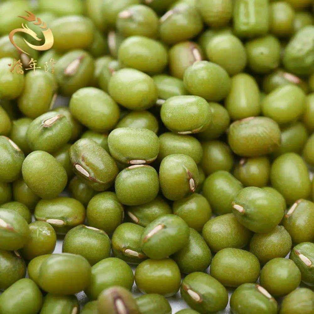 wholesale high quality green vigna mung beans