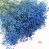 azul, altura de unos 75 cm
