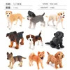 Coffret 9 chiens 116g