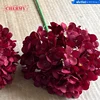# 2 Hortensias Borgoña - Cabeza Pequeña 13-15cm