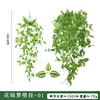 Colgante de pared de hiedra verde - 01